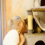 Der Kater wartet mit mir, jeden Tag, dass Du wiederkommst.